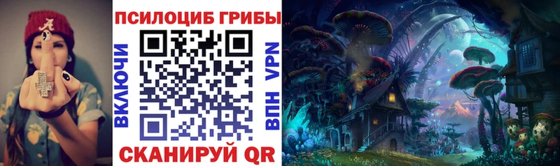 Галлюциногенные грибы Psilocybine cubensis  Гусев 
