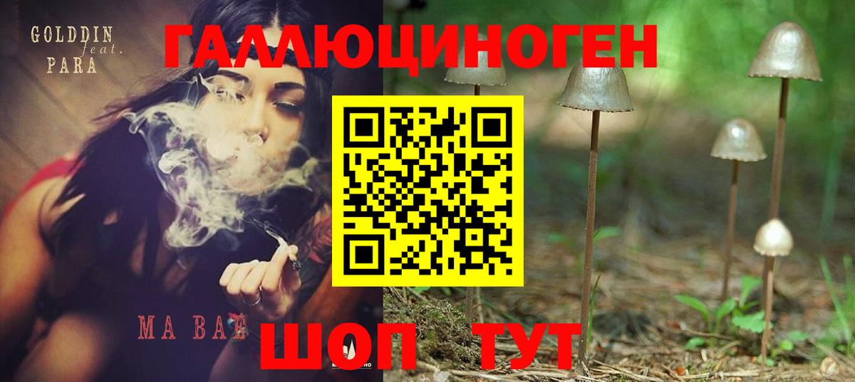 Гусев  как найти закладки  Галлюциногенные грибы мухоморы  Вход с VPN  Псилоцибиновые грибы Magic Shrooms 