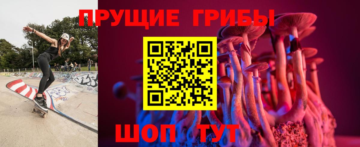 Галлюциногенные грибы GOLDEN TEACHER Гусев