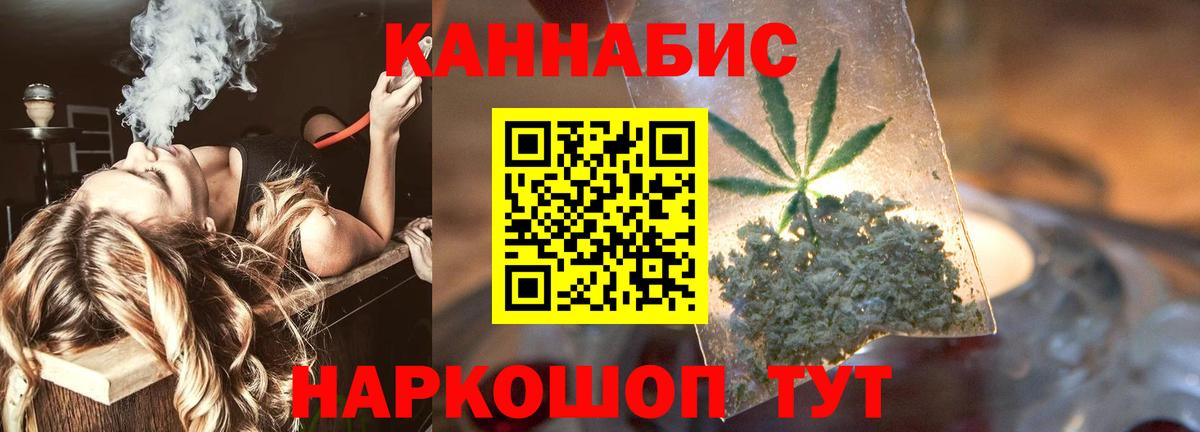 Канабис планчик Гусев